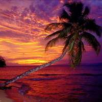 Fiji dubbed jewel of the pacific